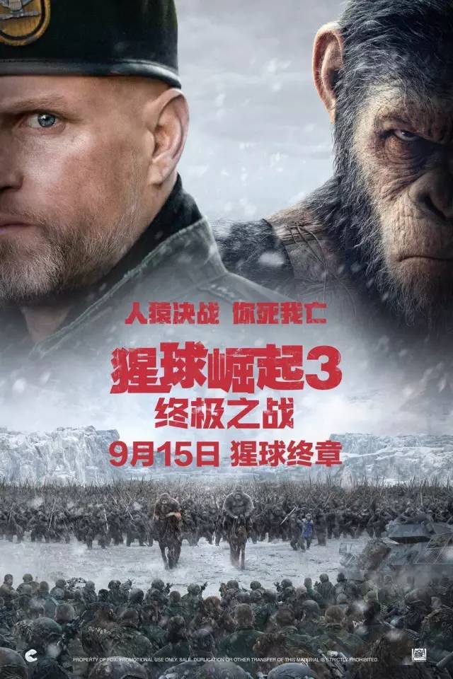  比勒菲尔德顽强拼搏到底，绝平对手保留希望